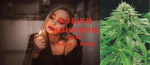 прущие крисы Дмитриев