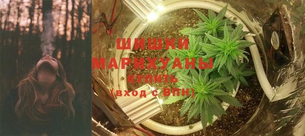 прущие крисы Дмитриев