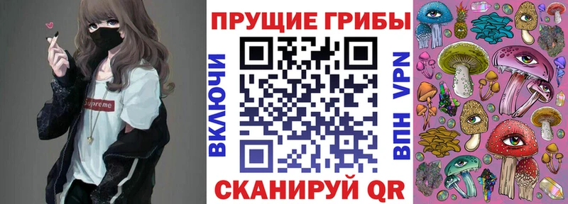 Купить где  Абакан  Псилоцибиновые грибы MAGIC MUSHROOMS 